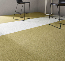 Canvas Canvas 140 фото 6 | FLOORDEALER